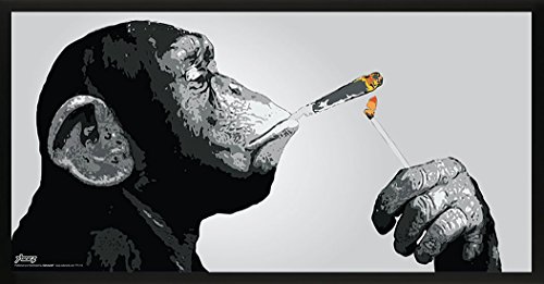 Steez Monkey Smoking a Joint Decorative Music Urban Graffiti Art Poster Print